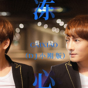 冻心 (DJ小刚版伴奏)
