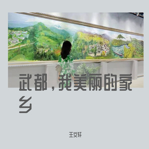 武都我美丽的家乡 王文轩