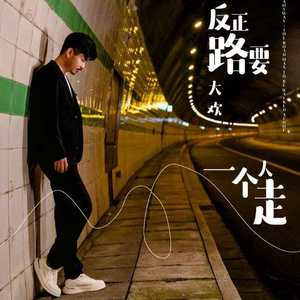 反正路要一个人走(DJ版)