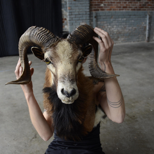 Demon Spell (Single Mix)