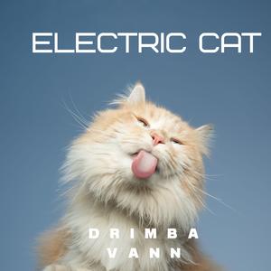 Electric cat