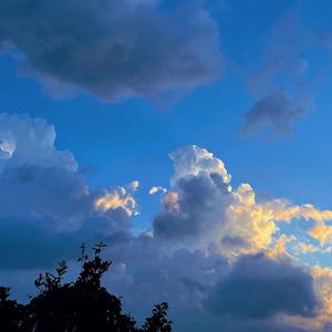 好像掉进爱情海里