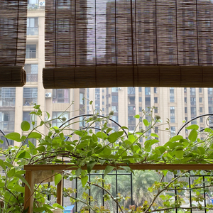 纯古筝｜一直很安静