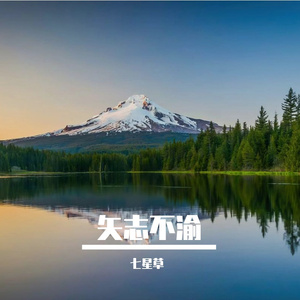 破茧迎风飞舞
