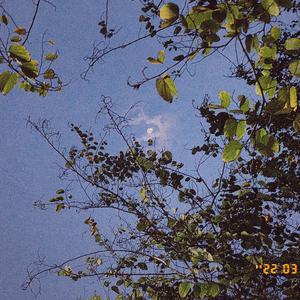 你知不知道我爱你