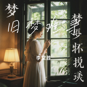 旧梦难寻