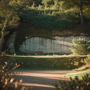 胡居士卧病遗米因赠