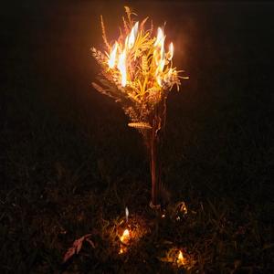 Cremation