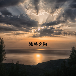 晨光微露 (中国古琴)