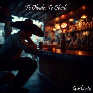 Te olvidé, te olvidé