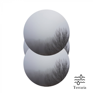 intr-un gand final (Original Mix)