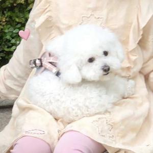 喜欢