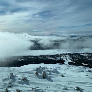 Squeeze it all night