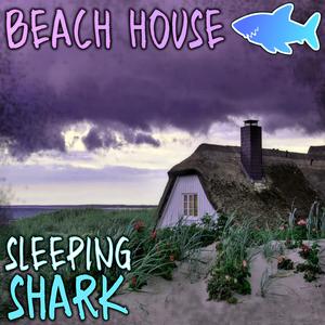 Beach House