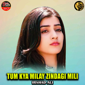 Tum Kya Milay Zindagi Mili (1)