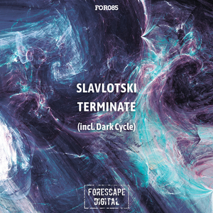 Terminate (Original Mix)