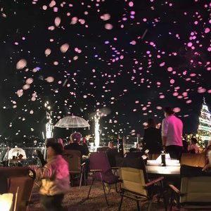 世界兵荒马乱，而你是我的浪漫