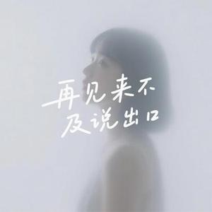 再见来不及说出口