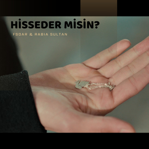 Hisseder Misin?
