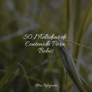 Descansando Junto Al Lago