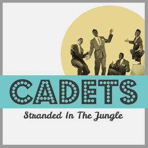 Stranded in the Jungle