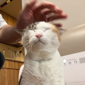 赤ちゃん言葉になっちゃう