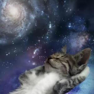 Space (feat. slightt)