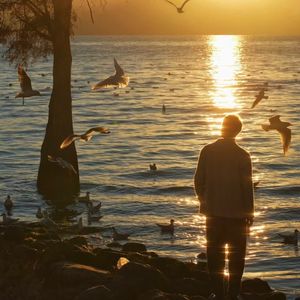 不必如此执着(BGM版)