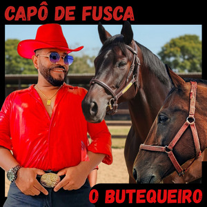 CAPÔ DE FUSCA