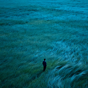 当真爱降临时间开始静止