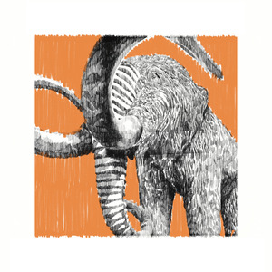 Una llum de redempció