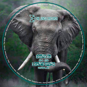 I Can´ t Think (Original Mix)