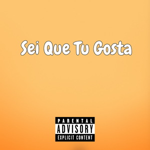 Sei Que Tu Gosta