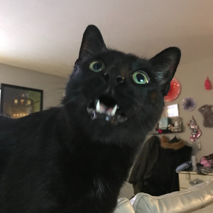 This Song Summons Demons...or Maybe It Doesn't, Whatever