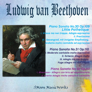 베토벤 피아노 소나타 32번 1악장 Sonata No.32 Op.111 I. Maestoso - Allegro con brio ed appassionato