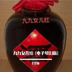 九九女儿红 (电子琴DJ版)