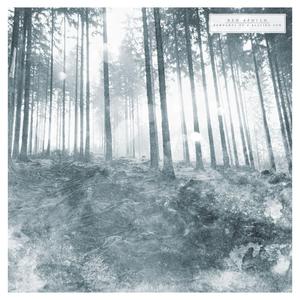 Remnants of a Blazing Sun