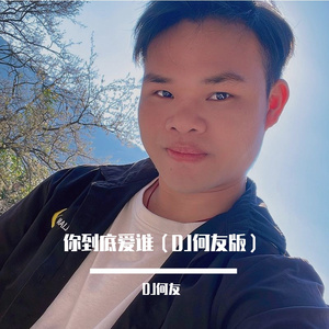 刘嘉亮 - 你到底爱谁（DJ何友版）