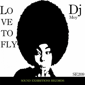 Love To Fly (Original Mix)