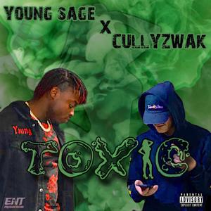 Toxic (feat. Cullyzwak)