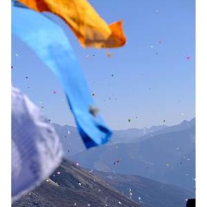 孤单的秋孤单的人