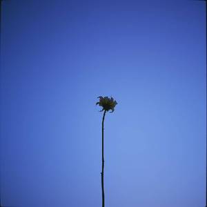 이별도 사랑이네 (feat. sohyun)