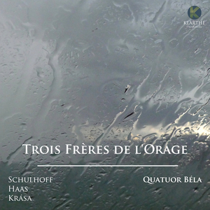 Quatuor No. 2, Op. 7 "Des montagnes du singes":I. Paysage – Andante