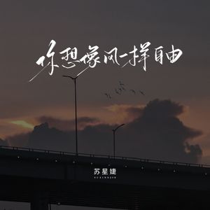 你想像风一样自由