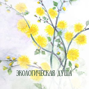 Экологическая Душа