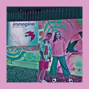 Immagina
