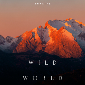 Wild World