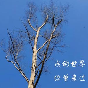 我的世界你曾来过