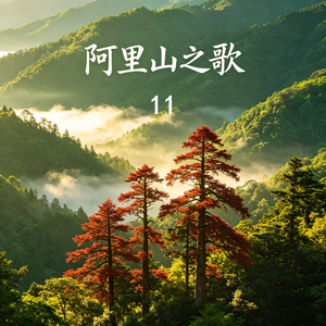 少林少林