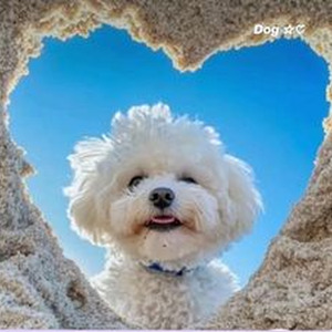 as the world caves in - Slowed